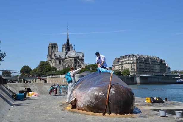 Ca voi khong lo “phoi nang” giua long Paris gay soc-Hinh-6